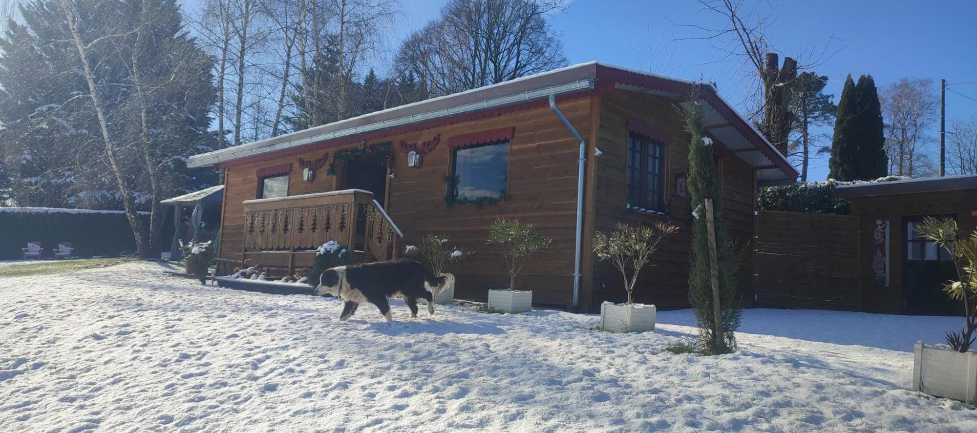 Domaine Le Lanis "Cabane De Pauline" Saint-Girons  Exterior foto